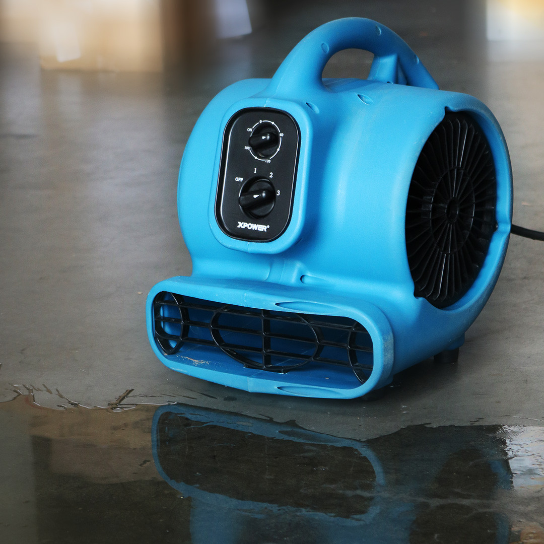 XPOWER 1/4 HP ミニエアムーバー ( P-230AT-Blue) | JB Tools