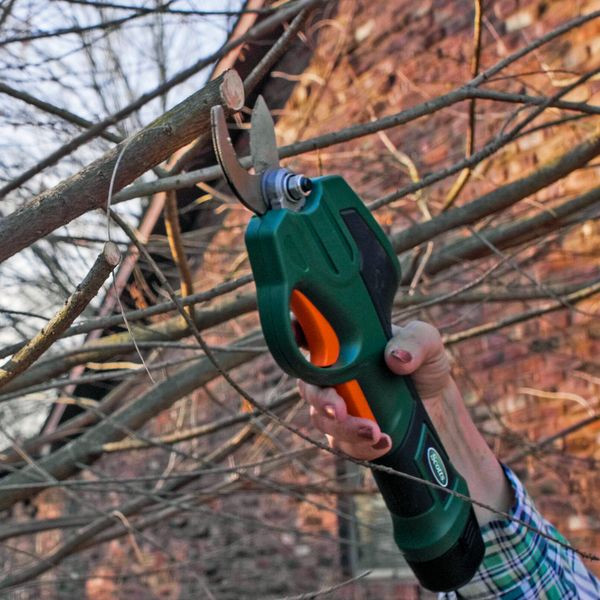 Scotts Pruner - Thumbnail 3
