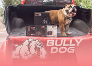 How To Install Bully Dog GT tuner Diesel?