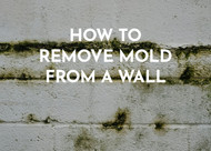 How To Remove Mold From A Wall