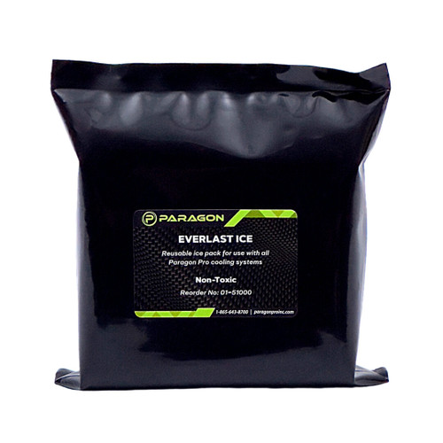 A bag of Paragon Everlast Ice on a white background showcasing the product's packaging and branding.