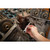 Gearwrench Stubby Non-Ratcheting Combo Wrench 15/16" (81633)