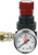 Reading Technologies Inc. MR-1 Mini Regulator With 0-60 Gauge