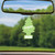 Little Trees u6p-60433 Car Freshener jazmín tradicional, paquete de 6