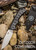 SOG ace1001-cp ace feste 3,8" glatte Stonewashed-Klinge, strukturierter Griff