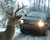 Bell Automotive Chrome Deer Warnings (22-1-01001-8)