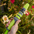 Flexzilla Garden Hose with SwivelGrip, 5/8in x 50ft (HFZG550YWS-E)