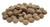 General Tools 311038 3/8" Button Plugs, Oak, 50-Pack