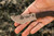 TOPS Knives Tom Brown Tracker #4 3.5In Drop Point Fixed Blade Knife (TBT04-TAN)