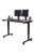 Luxor Workspaces Luxor-60 Dual-Motor Electric Stand Up Desk (STANDE-60-BK/DW)