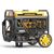 Firman Dual Fuel Inverter Portable Generator 4400/3500W Electric Start Open Frame CO Alert 50 ST CAN (WH03562OF)