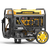 Firman Dual Fuel Inverter Portable Generator 4500/3650W Electric Start Open Frame CO Alert 50 ST CAN (WH03662OF)