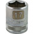 Dynamic Tools 3/8" Drive 6 Point Metric, 17mm Standard Length, Chrome Finish Socket (D008017) Main Image