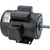 Grizzly Industrial Heavy-Duty Motor 1 HP Single-Phase TEFC 110V/220V, Grizzly Industrial Heavy-Duty Motor 1 HP Single-Phase TEFC 110V/220V w/ a speed of 1725 RPM, Grizzly Industrial Heavy-Duty Motor 1 HP Single-Phase TEFC 110V/220V w/ 3450 RPM, Motor Schematic of Grizzly Industrial Heavy-Duty Motor 1 HP Single-Phase TEFC 110V/220V