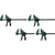 Grizzly Industrial 6" and 12" One-Handed  Bar Clamp Kit in white background, Front view of Grizzly Industrial 6" and 12" One-Handed  Bar Clamp