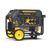 Firman Dual Fuel Portable Generator – 4550/3650W, Recoil Start, CO Alert, RV Ready (H03655)
