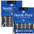 Nordic Pure Air Bear 20x25x5 Air Filter Replacement MERV 12 Pleated + Carbon 2 Pack stacked 20x25x5ABPM12C-2