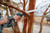 Genesis G20MAX 20V Variable-Speed Reciprocating Saw with 2.0Ah Battery & Charger, 1" Stroke Length, Tool-less Blade Clamp (GLRS20B)