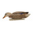 Avian-X Topflight Fusion Mallards Duck Decoys 6-Pack (AVX8076)