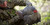 Avian-X LCD Half-Strut Jake Turkey Decoy with Carry Bag & Stake (AVX8012)