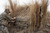 Avian-X G-Blind 4-Person Hunting Blind Mossy Oak Camo (AVX7005)