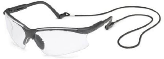 GATEWAY SAFETY 16gb80 SCORPION Schutzbrille mit schwarzen/klaren Gläsern