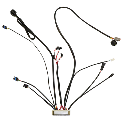 FiTech 39001-1 Replacement ECU for FiTech 2 Barrel EFI System