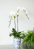 KAO | Double Planter