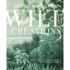 Wild Creations: Plant Care Tips & Styling Ideas