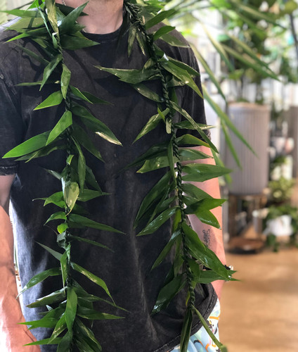 Maile Style Ti Leaf Lei