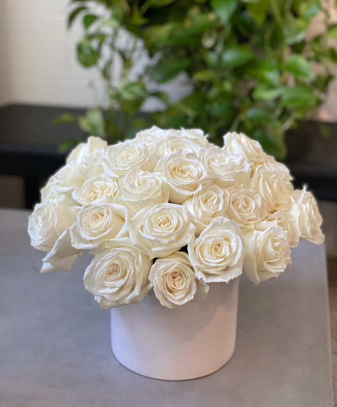 Modern Blanca Roses