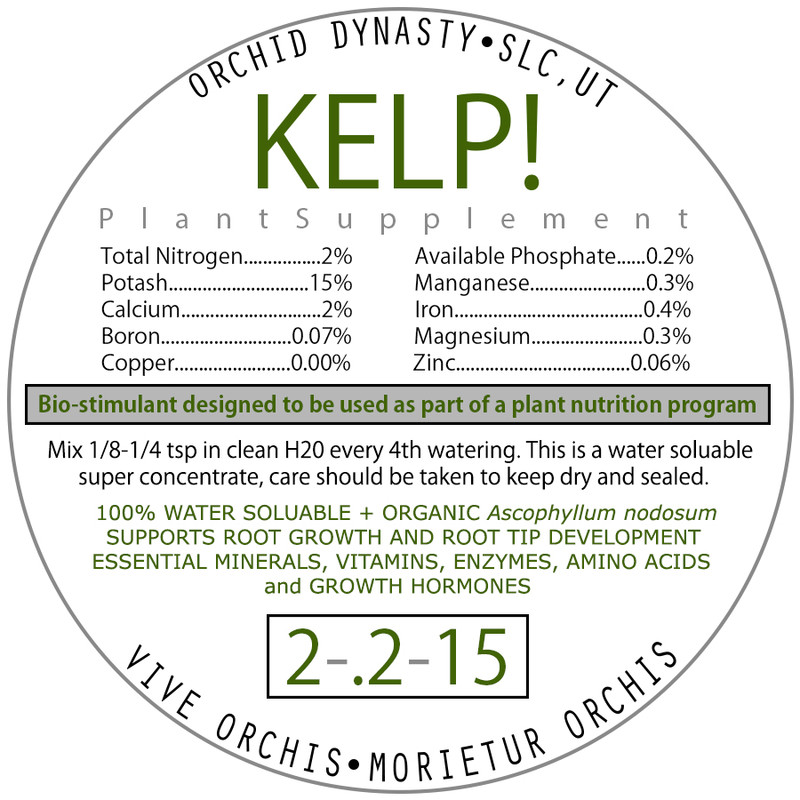 ORCHID DYNASTY 'KELP' Stimulent