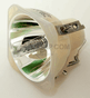 DP7259 Lamp With Philips Bulb For Optoma Projector