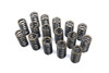 Upgraded Valve Springs for 2.0 16v TDI PD and PPD Engines
