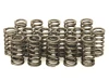 Upgraded Valve Springs for 2.0 16v TDI PD and PPD Engines