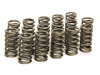 Upgraded Valve Springs for 2.0 16v TDI PD and PPD Engines