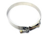 Stainless Steel T-Bolt Clamps