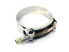 Stainless Steel T-Bolt Clamps