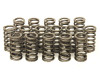 Upgraded Valve Springs for 1.6 / 2.0 16v & 2.7 / 3.0 24v TDI CR
