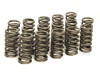 Upgraded Valve Springs for 1.6 / 2.0 16v & 2.7 / 3.0 24v TDI CR