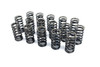 Upgraded Valve Springs for 1.6 / 2.0 16v & 2.7 / 3.0 24v TDI CR