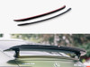 Maxton Spoiler CAP Mercedes AMG GT 63S 4-door Coupe