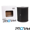 Ramair Performance Pleated Replacement Air Filter for Audi RS6 (C7) RS7 (4G)