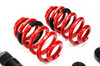MTS Technik Coilovers (Street, Inox) for Audi A5 Convertible (F57) / A4 B9 Avant (8W)