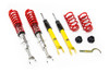 MTS Technik Coilovers (Stance, Inox) for Audi A8 D2 (4D)