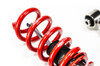MTS Technik Coilovers (Street, Inox) for Audi A4 B5 Avant (8D) / A4 B5 (8D)