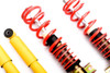 MTS Technik Coilovers (Street, Gold) for Volkswagen MULTIVAN T5 (7H/7E)
