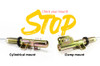 MTS Technik Coilovers (Street, Gold) for Volkswagen MULTIVAN T5 (7H/7E)