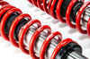 MTS Technik Coilovers (Stance, Inox) for Seat IBIZA II (6K) / CORDOBA (6K)
