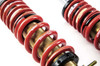 MTS Technik Coilovers (Stance, Gold) for Nissan 370Z Coupe (Z34)